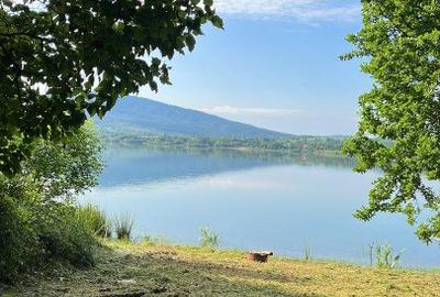 Comision 0% Teren de vanzare 6000 mp cu iesire la Lac Surduc - 8