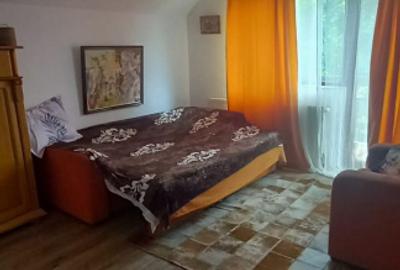Casa spatioasa Traian - 12