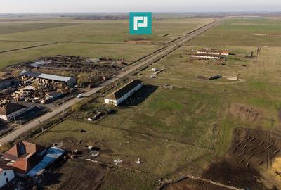 Hală industrială cu teren generos în Zărand, Arad - 24