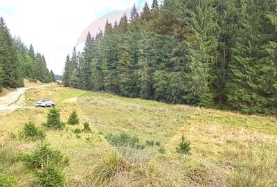 Teren Poiana Brasov / Strada Valea Sticlariei 500 mp