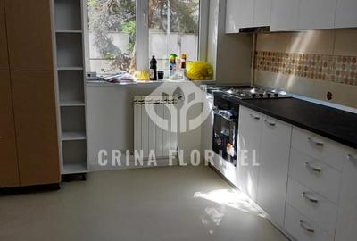 Inchiriere duplex cu gradina 60 mp - renovat - prima inchiriere - Herastrau - 15