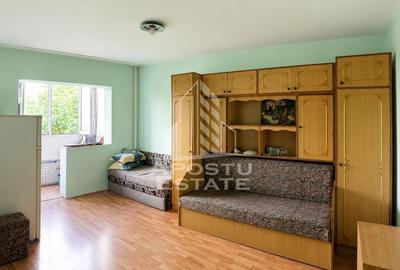 Apartament 1 camera zona Micalaca Pet Friendly - 1