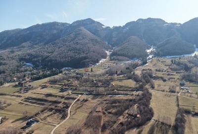 Teren intravilan Bran - Predelut - 16