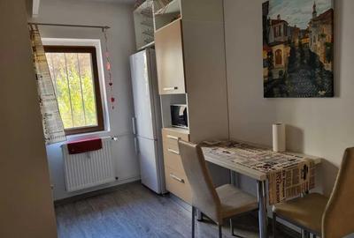 Dristor, garsoniera, 40mp, 7 minute metrou, LOC PARCARE, PET FRIENDLY - 4