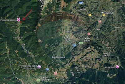 Extravilan + Intravilan | Sătic-Rucăr | Cadru natural | Turistic - 10