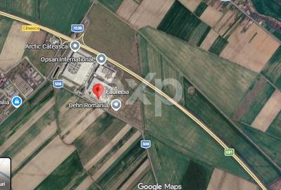 Teren extravilan 154.047 mp | Deschidere A1 Pitești – București | Căteasca - 1