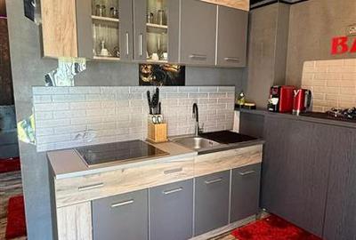 Apartament modern cu 1 camera in Bucium - Cataleya Residence - 5