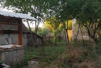 Casa singur in curte in Apoldu de Jos , la 35 km de Sibiu! - 36