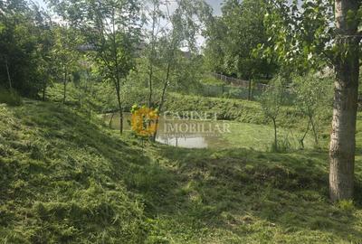 Oază de liniște și natură! Casă  cu 2 heleșteie și pârâu în curte – Probota - 3