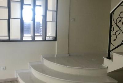 Vila tip C1 Aria Residences - 11