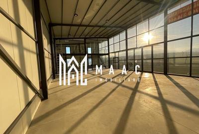 Hala | 250 MP | Teren 11.000 mp | - 8