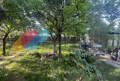 Teren 729 mp cu casă individuală – cartier Bulgaria, zonă liniștită - 7