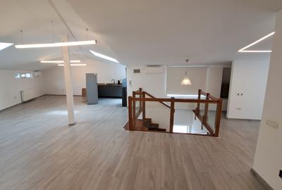 Mansarda stil loft in Vila boema