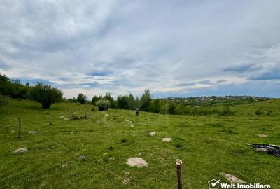 Teren extravilan, panorama superba., zona Feleacu - 3