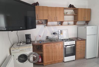 Studio la curte utilat complet cu terasa  zona Lazaret - 9
