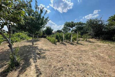 Casa  de vanzare zona Alexandru cel Bun-Tulcea - 3