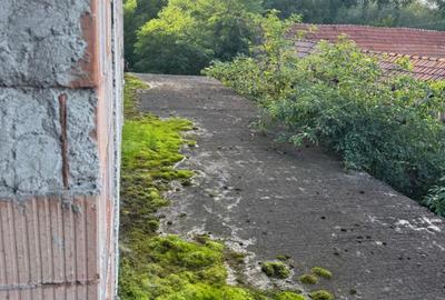 Pensiune de vanzare S+P+2E Almașu Mare | Ideal azil sau turism - 5