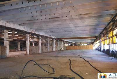Spatiu Industrial de inchiriat Brasov- Codlea - 3