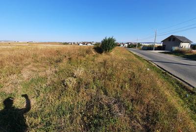 Teren intravilan 33.496 mp, Com. Bradu (fosta Com. Albota), Arges - 3