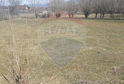 Teren intravilan 1,486mp Zarnesti / Soseaua Branului - 6