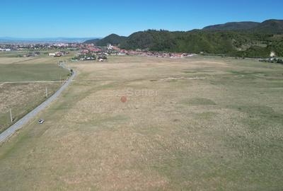 Teren extravilan Rasnov - 4