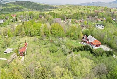 Teren intravilan Bran- Predelut - 16