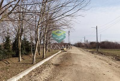 Teren pentru dezvoltare rezidentiala in Tartasesti - 9