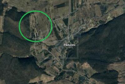 Teren extravilan, Padureni 20700 mp, alipit padure - 3