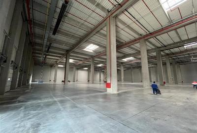Inchiriere depozit/hala/spatiu industrial Theodor Pallady - Cernica - A2 - A0 - - 16