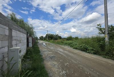 Teren intravilan de vanzare – 1.470 mp | Str. Narciselor, Comuna 1 Decembrie - 1