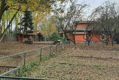 Vilă ideala Locuinta sau HOTEL-SPA sau Azil de Lux - 11