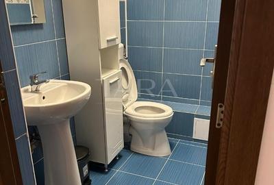Casa 5 camere, suprafață 120 mp, teren 250 mp, zonaMuzeul Apei. - 11
