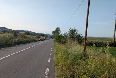 Sărata- lângă Mun. Bacău- 4000 mp- oportunitate investiție - 7