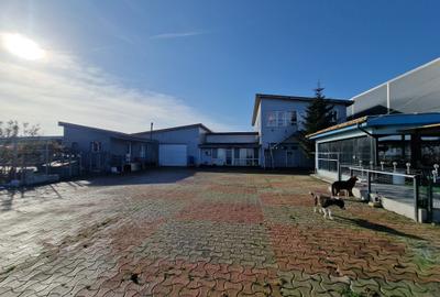 Hala 440mp, Apartamente 340mp, Garaj, teren 1500mp, acces facil-460.000euro - 39