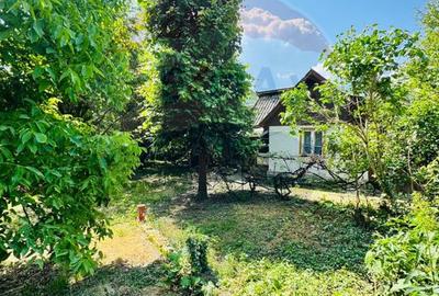 Casă cu 4 camere de vânzare pe str. Campu Negru, Sighet. - 3