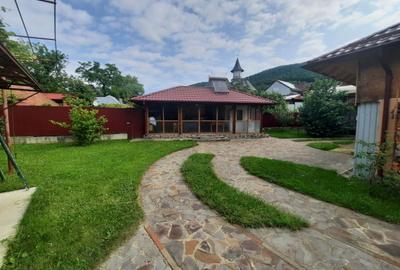 Casa de vanzare,340 mp,7 camere, Alexandru cel Bun Neamt (Bistrita), Cod 158919 - 9