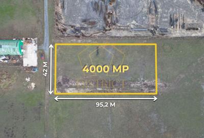 Teren industrial 4.000 mp, parcelabil, POT 80% I Săcălaz - 2