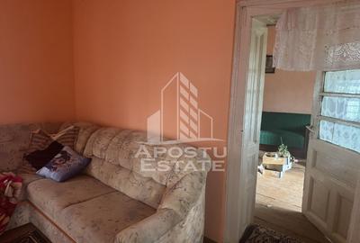 Comision 0 la cumpărător ,casa în Petrovaselo cu 2518 mp teren - 7