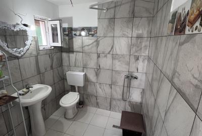 Casa de vacanta - Munteni Buzau - Jutetul Ialomita - Curte 2000mp - 7