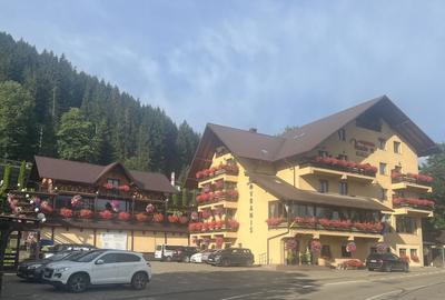 Hotel/Pensiune, 20 mp în Sadova