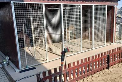 Vila P+M constructie 2020, pretabila doua famiili, teren 620 mp, Cazasu - 10