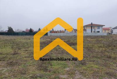 Catelu | Teren 5000MP | Intravilan | 15 Minute Metrou | OPORTUNITATE - 4