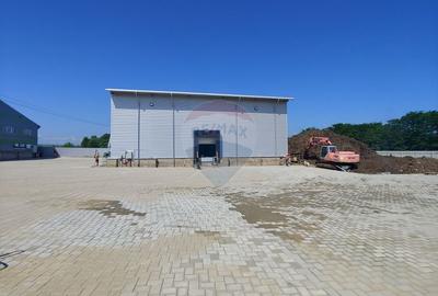 Depozit frigorific de 216 mp cu 4 celule, Șcheia, Suceava - 7