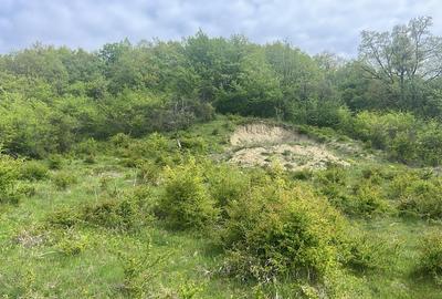 Teren intravilan Corunca – 1000 mp – vedere panoramică 180° + acces pădure – ult - 6