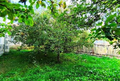Casa spatioasa 8 camere+cladire auxiliara pretabil locuinta sau afacere+magazin - 13