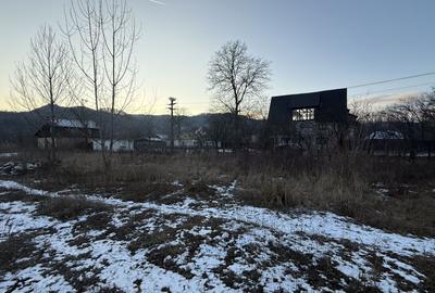 Teren intravilan construcții, industrial suprafață 3900 mp - 4