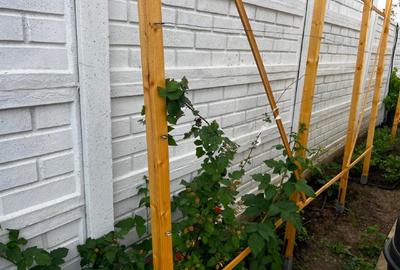 Teren cu anexa si  livada, toate utilitățile - 3