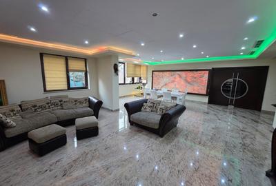 Timpuri Noi, 10 minute metrou, pe Cuza Voda, vila exclusivista P+1+M, lux, - 19