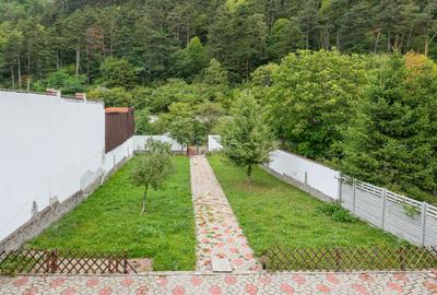 Proximitate imediata fata de Castelul Bran - 6