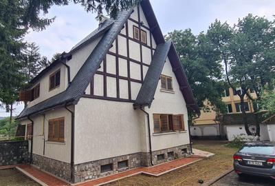 Vila de pe cărțile poștale - 5